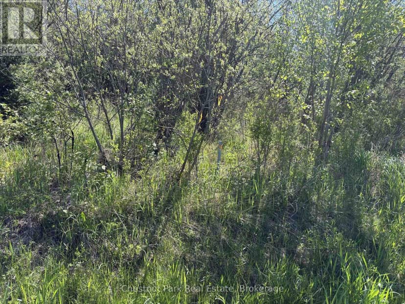 Con 13, Pt Lot 21, Part 1 Golf Course Road — photo 17 of 25