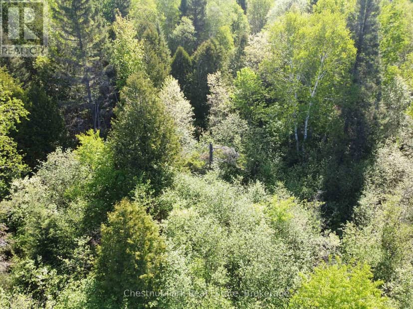 Con 13, Pt Lot 21, Part 1 Golf Course Road, Chisholm, photo 7
