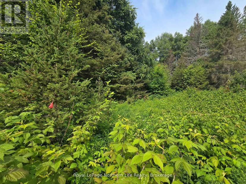 680 Mount Pleasant Road — photo 17 of 29