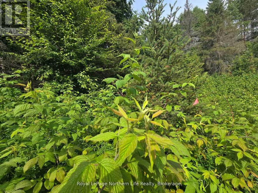 680 Mount Pleasant Road — photo 19 of 29