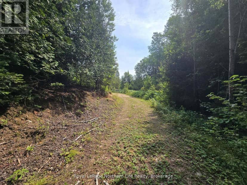 680 Mount Pleasant Road, Calvin, photo 6
