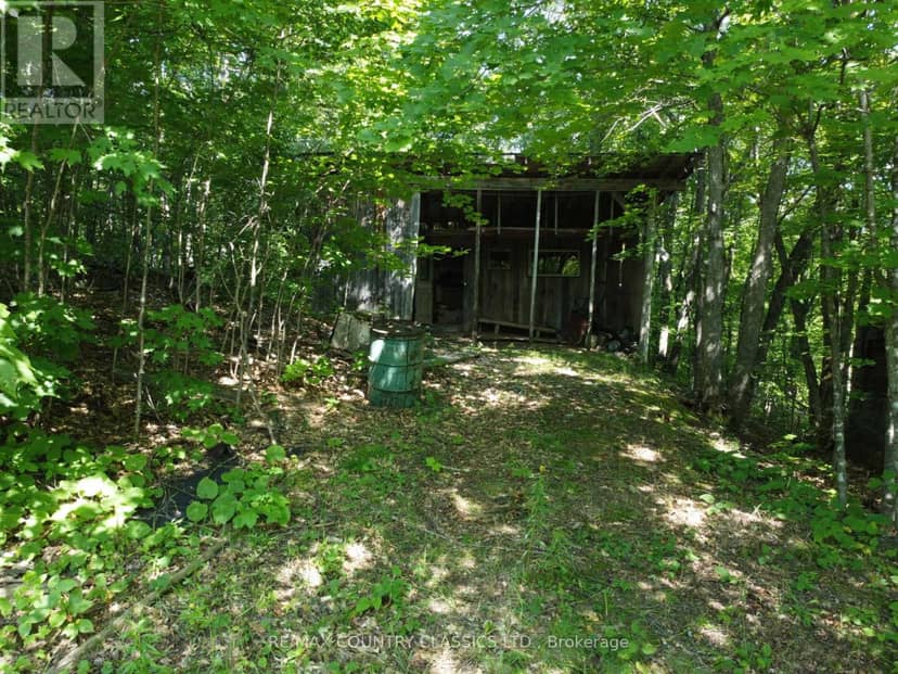 388 O'Grady Settlement Road — photo 14 of 19
