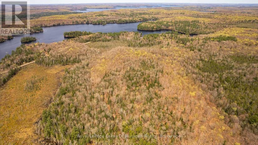 1356 Dickie Lake Road — photo 5 of 15
