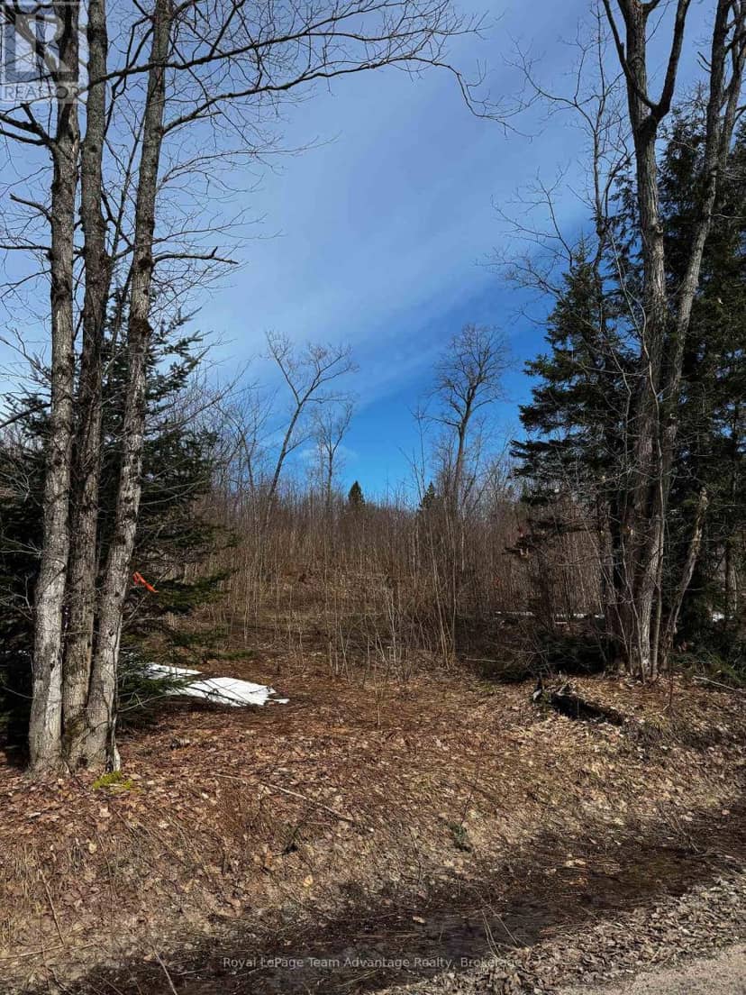 Lot 1 Lorimer Lake Road, Whitestone, photo 4