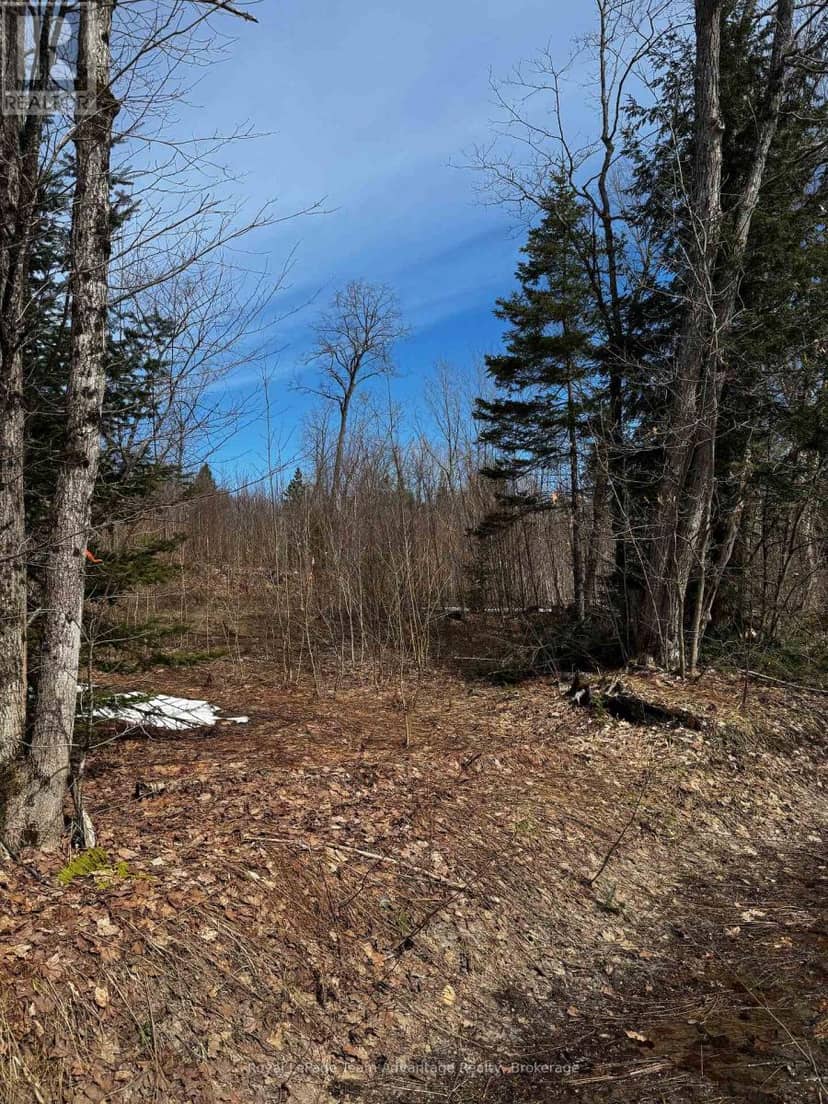 Lot 2 Lorimer Lake Road — photo 10 of 27