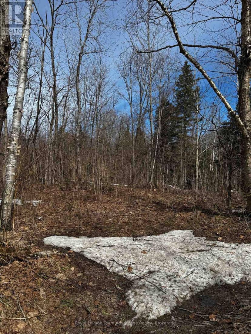 Lot 2 Lorimer Lake Road — photo 11 of 27