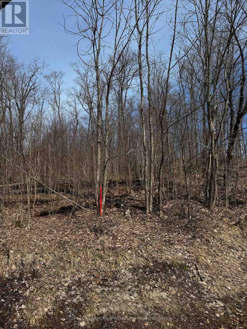 Lot 2 Lorimer Lake Road — photo 6 of 27