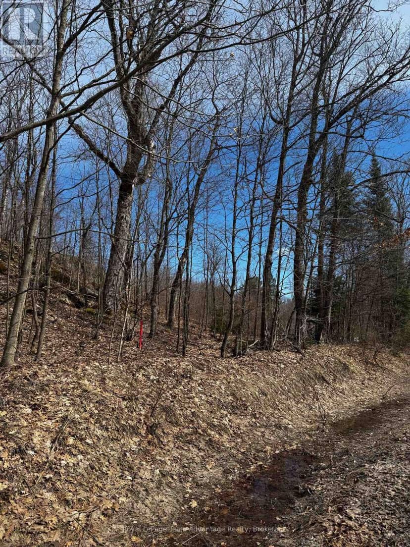 Lot 2 Lorimer Lake Road — photo 8 of 27