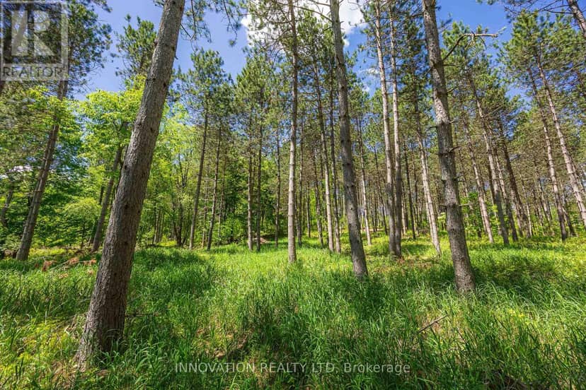 354 McCulloch Road, Lanark Highlands, photo 7