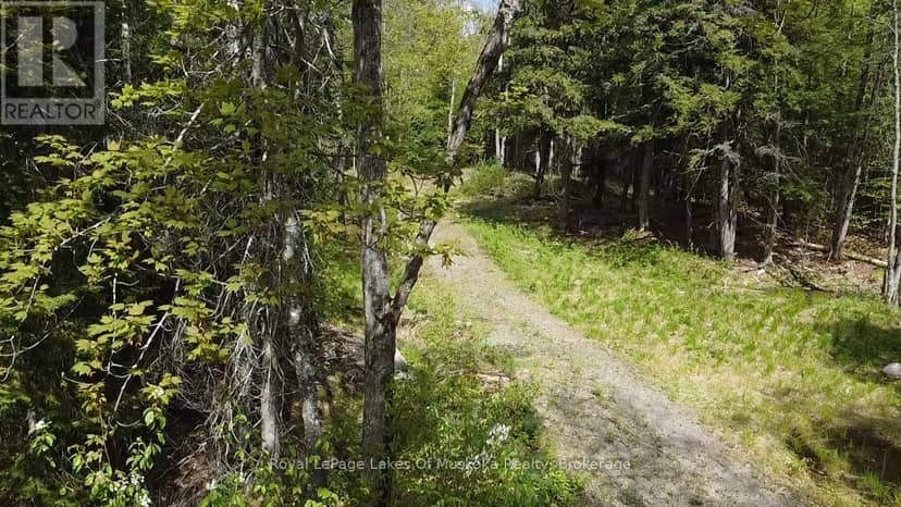 887 Star Lake Road — photo 8 of 13