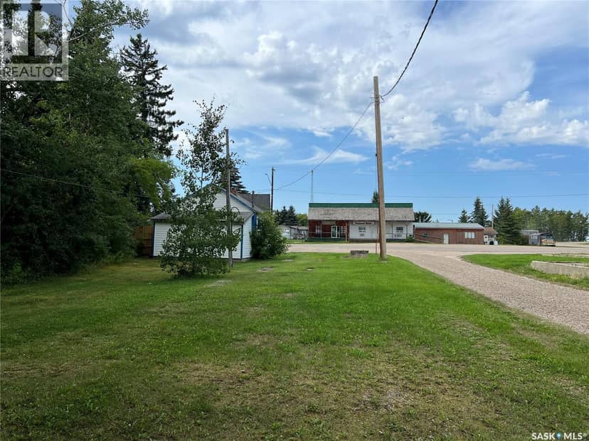 105 1st AVENUE S, Dorintosh, photo 2