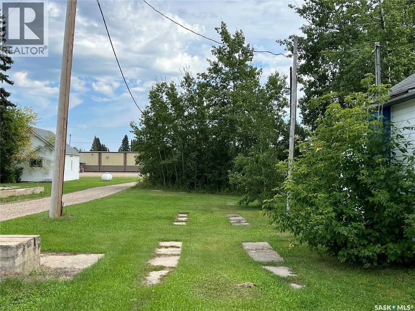 105 1st AVENUE S, Dorintosh, photo 3