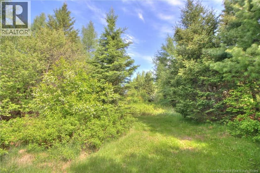 LOT Route 470 — photo 7 of 19