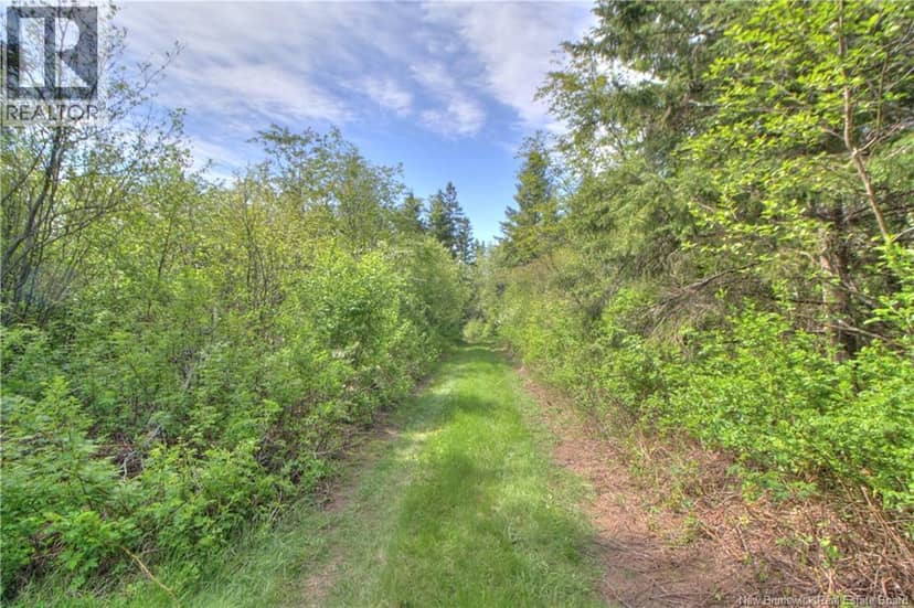 LOT Route 470 — photo 5 of 19