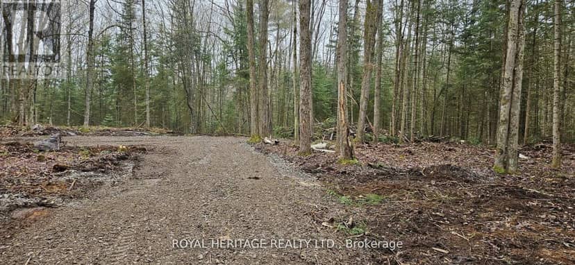 0A Reid Street, Trent Lakes, photo 4