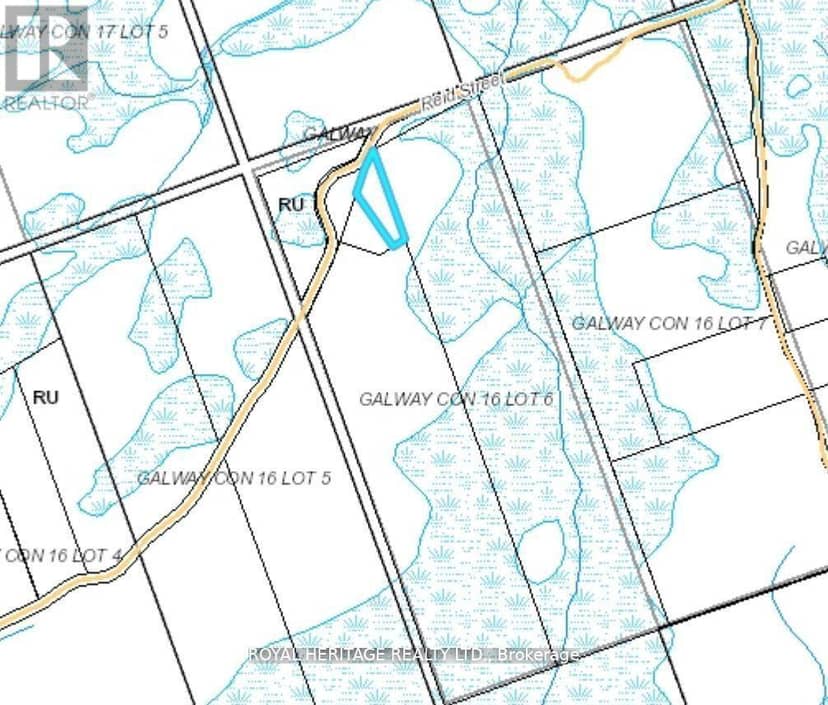 0A Reid Street, Trent Lakes, photo 6