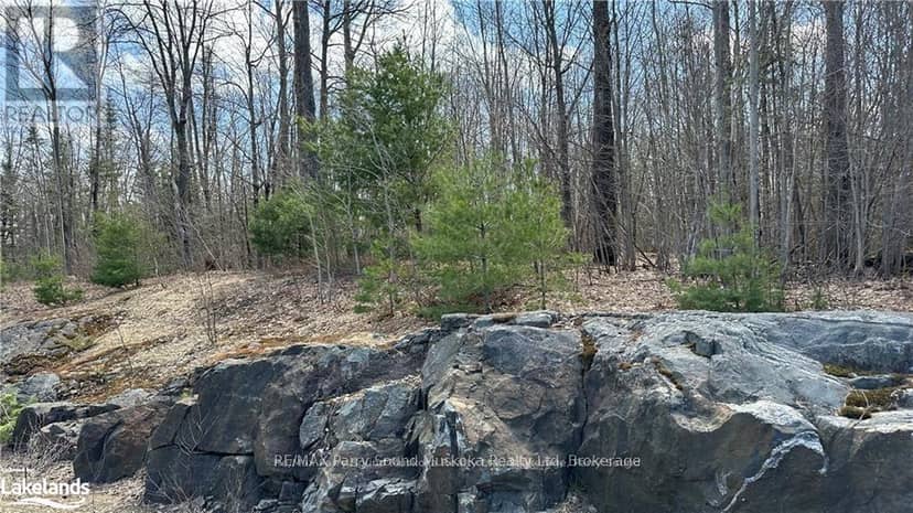 593 Highway 518, Seguin, photo 6