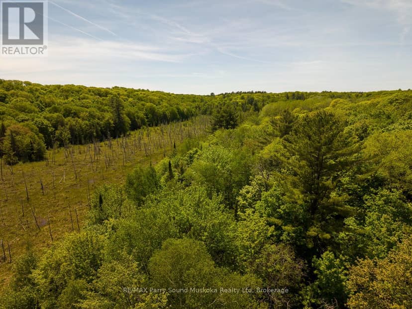 593 Highway 518 — photo 10 of 15