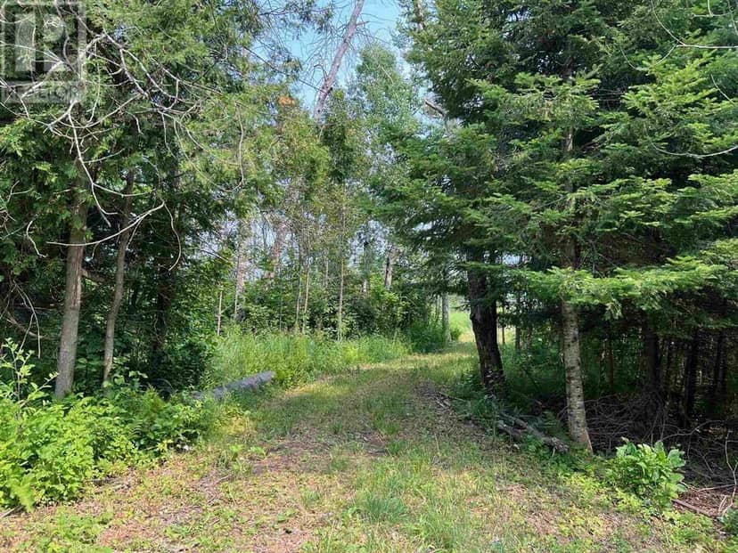Lot 2 & 3 Con Nelson DR, St. Joseph Island, photo 2