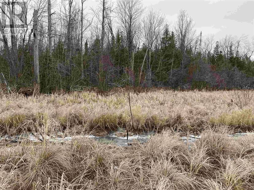 Lot 2 & 3 Con Nelson DR, St. Joseph Island, photo 4