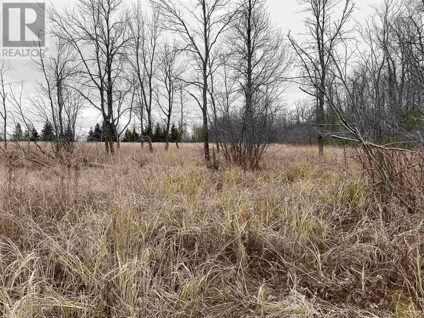 Lot 2 & 3 Con Nelson DR, St. Joseph Island, photo 5
