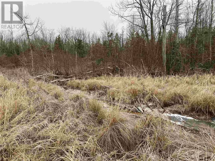 Lot 2 & 3 Con Nelson DR, St. Joseph Island, photo 7