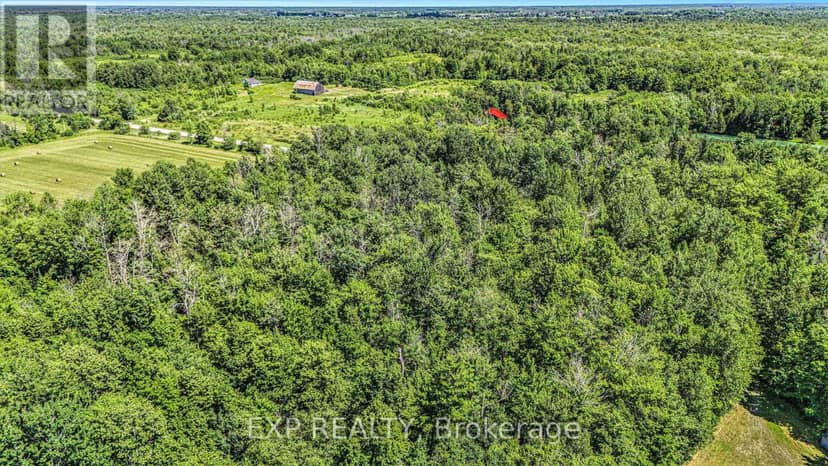 0000 Drummond Conc 7 Concession — photo 14 of 19