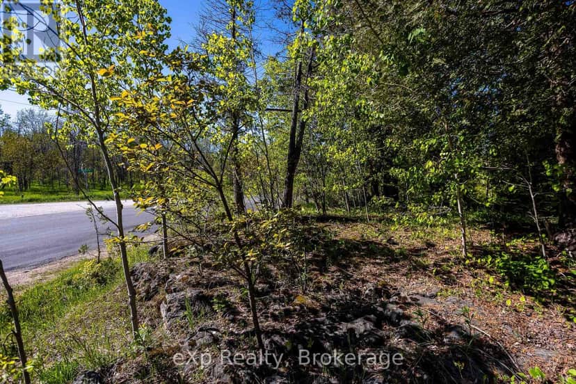 205 East Road — photo 20 of 25