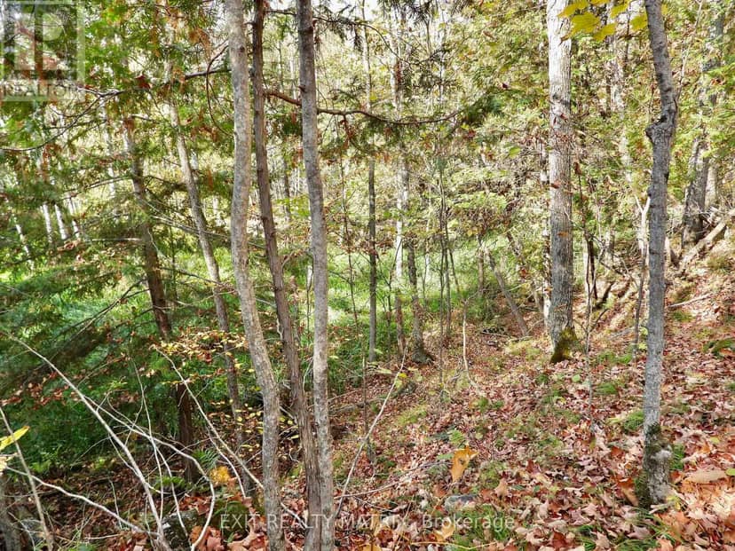 Lot 1 Woodland Park Drive, Frontenac, photo 2