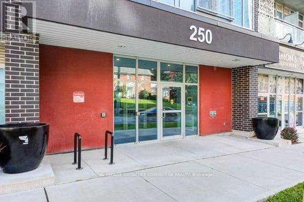 203 - 250 Albert Street — photo 7 of 31