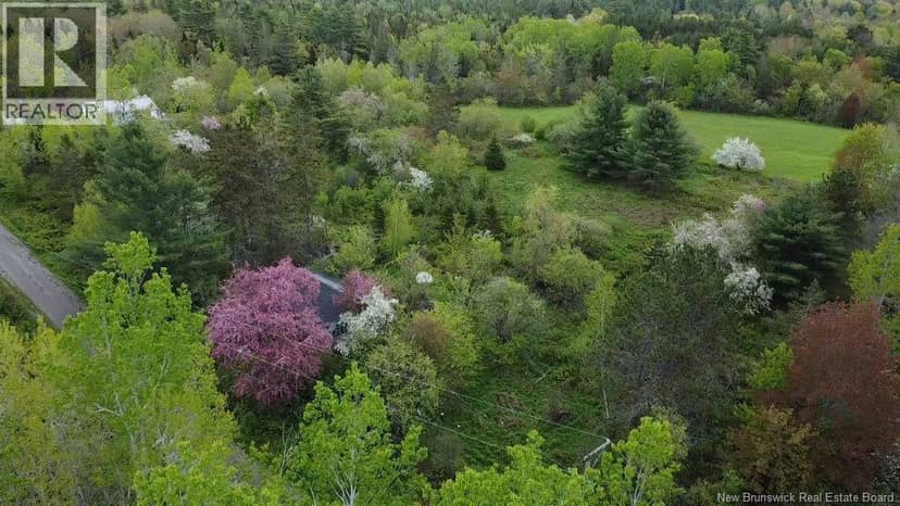 196 Ledge Road, Dufferin, photo 2
