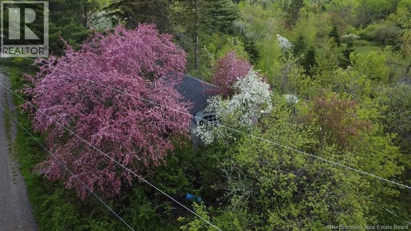 196 Ledge Road, Dufferin, photo 3