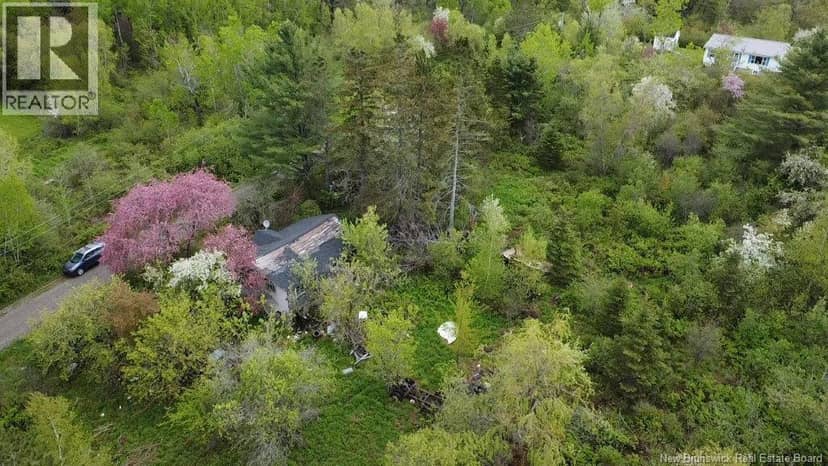 196 Ledge Road, Dufferin, photo 4