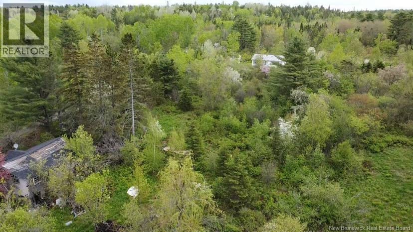 196 Ledge Road, Dufferin, photo 7