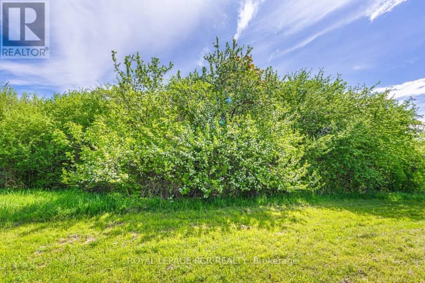 2872 Sunset Drive, Ramara, photo 5