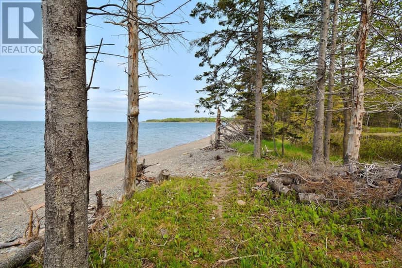 Lot 2 Macleod Pond Road — photo 9 of 22