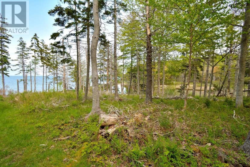 Lot 2 Macleod Pond Road, Roberta, photo 6