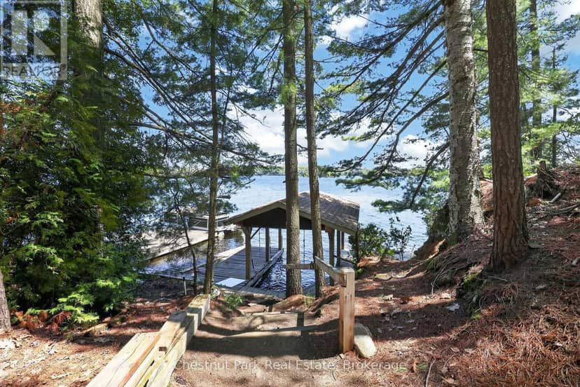 1 Island 20LM Island — photo 11 of 11