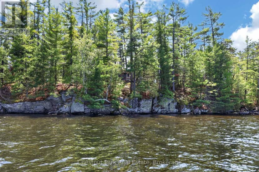 1 Island 20LM Island — photo 2 of 11