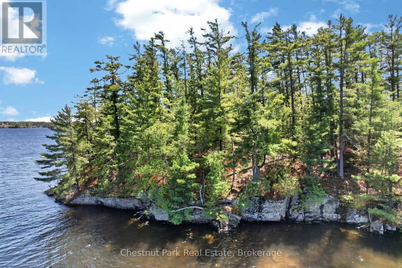 1 Island 20LM Island — photo 7 of 11