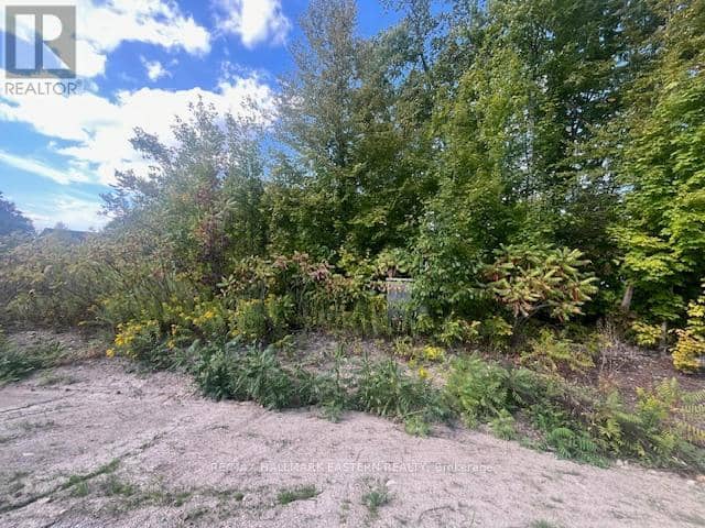 1872 Willan Road — photo 6 of 14