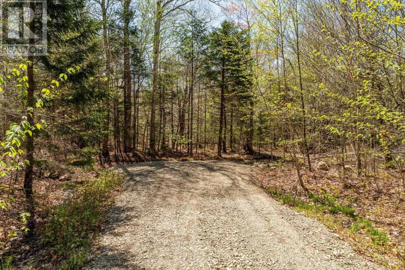 Lot 1 Chemin Theriault Point Road — photo 13 of 15