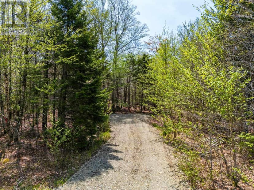 Lot 1 Chemin Theriault Point Road, Belliveaus Cove, photo 5