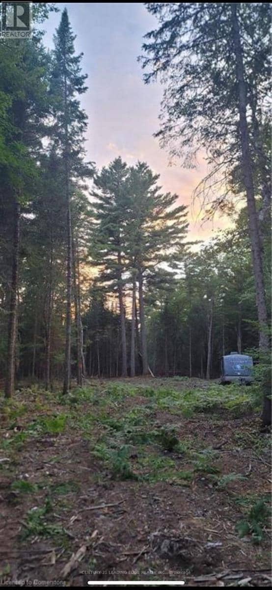 Na Dwight Beach Road, Lake of Bays, photo 7