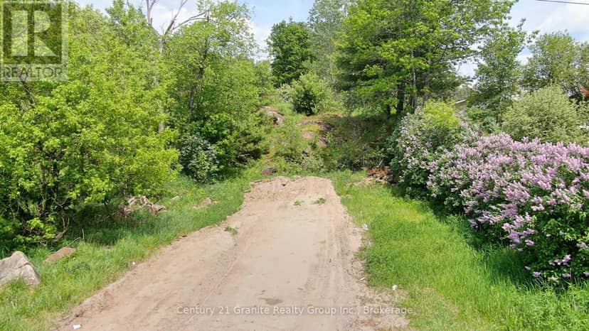 47 & 55 Cleak Avenue — photo 15 of 19