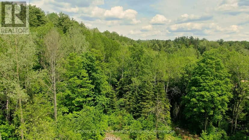 47 & 55 Cleak Avenue, Bancroft, photo 6