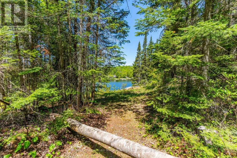 0 Brady Lake Road — photo 14 of 23