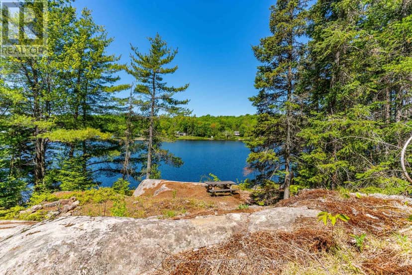 0 Brady Lake Road — photo 4 of 23