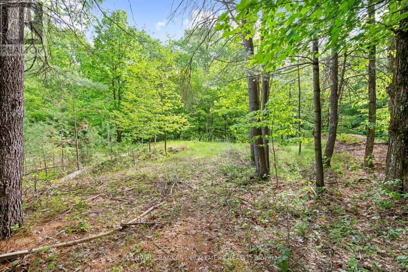 935 McLaren Road — photo 8 of 40