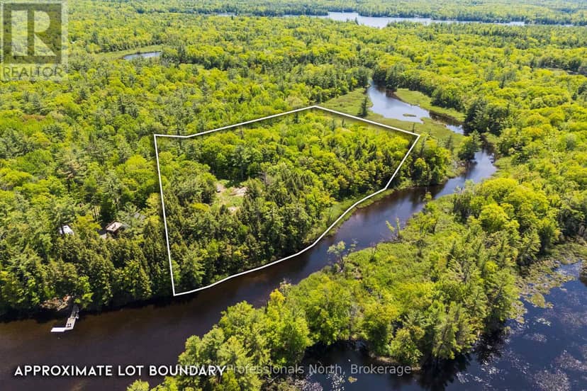 2 - 1204 South Morrison Lake Road, Gravenhurst, photo 5